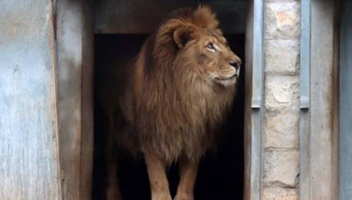 Pionirska dolina spremna za zimu