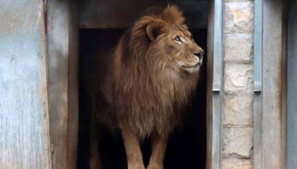 Pionirska dolina spremna za zimu