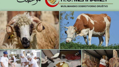 Počela Merhametova akcija - Kurbani u BiH, Mekki i Australiji