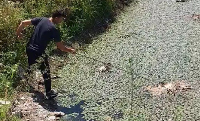 Počelo uklanjanje uginule ribe iz prnjavorskog "Ribnjaka"