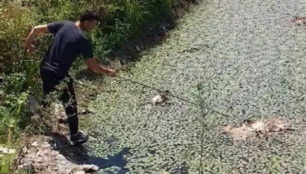 Počelo uklanjanje uginule ribe iz prnjavorskog "Ribnjaka"