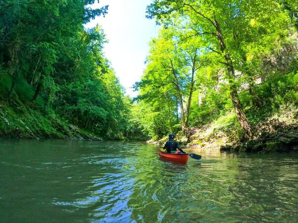 Počinje istraživanje biodiverziteta rijeke Krivaje
