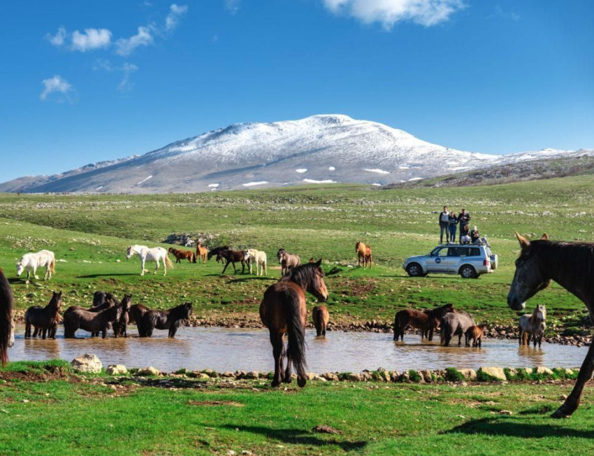 Počinje izrada studije za proglašenje Krug planine zaštićenim područjem