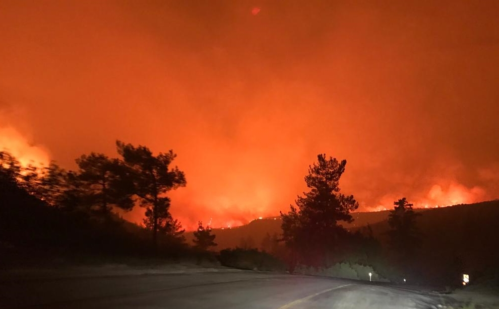 Pod kontrolom 122 od ukupno 129 šumskih požara u Turskoj