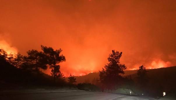 Pod kontrolom 122 od ukupno 129 šumskih požara u Turskoj