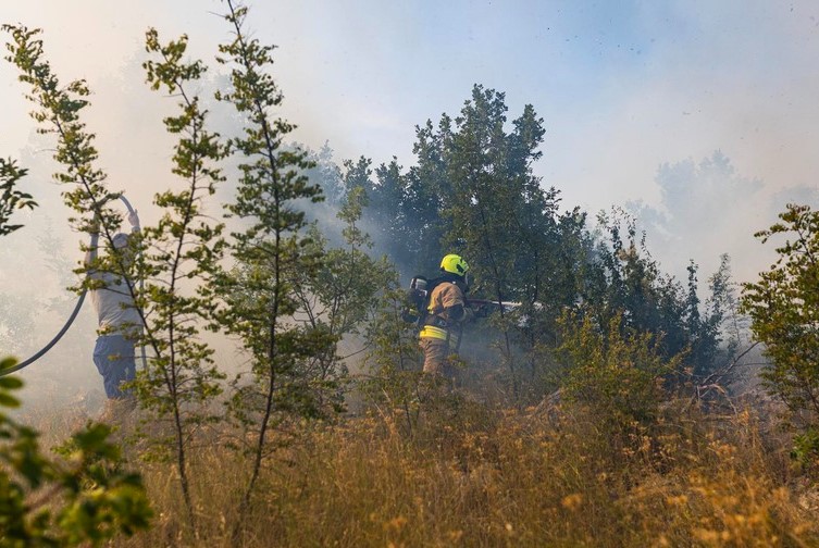Podmetnuli požar u Hrvatskoj pa pobjegli u BiH: Kanađanka uhapšena na granici