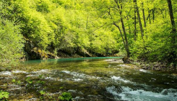 Podnesena žalba zbog osam hidroenergetskih objekata planiranih na Neretvi