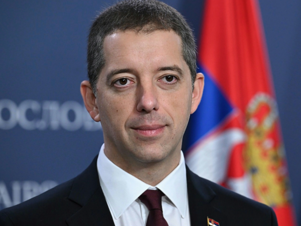Opstruisali izbore u dijaspori: Krivčne protiv Đurića i deset ambasadora