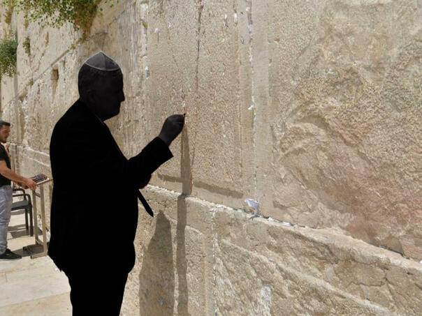 Podvale iz Budakove ulice