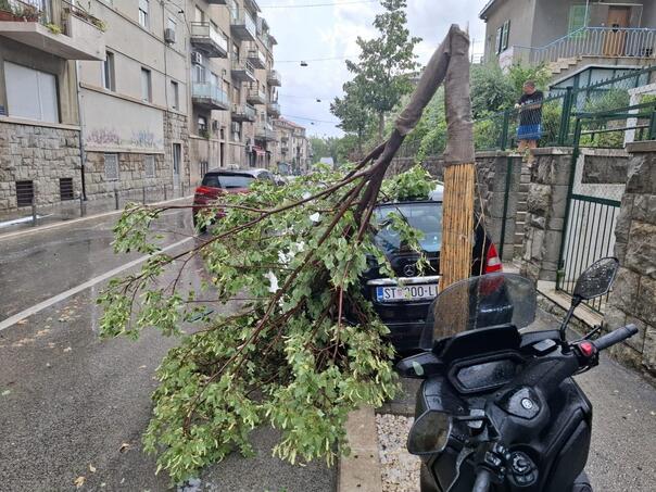 Pogledajte kako oluja čupa stablo u Splitu