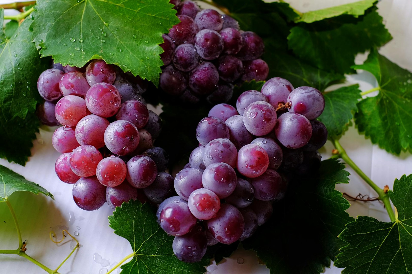 Pojačan nadzor nad uvozom sezonskog voća u BiH: Otkriveni štetni pesticidi