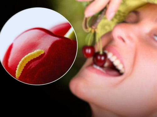 Pojeli ste trešnju s crvom? Evo šta se zapravo dešava u vašem tijelu