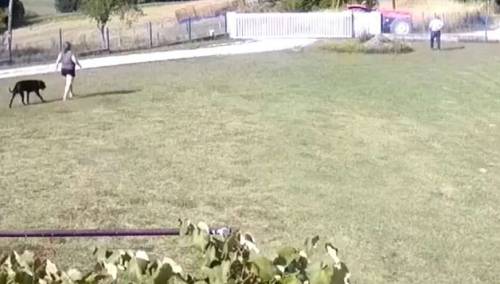 Pokušaj ubistva poslanika Miladina Stanića snimila kamera