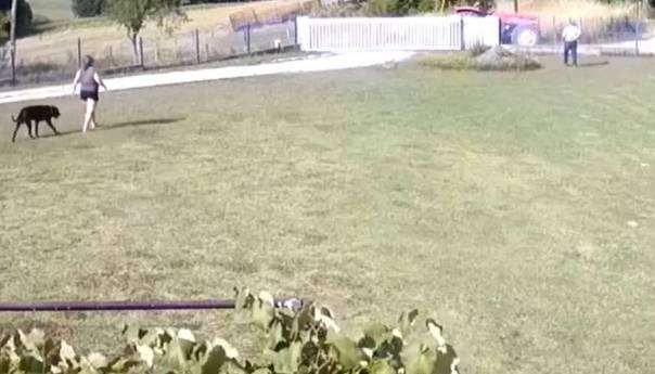 Pokušaj ubistva poslanika Miladina Stanića snimila kamera