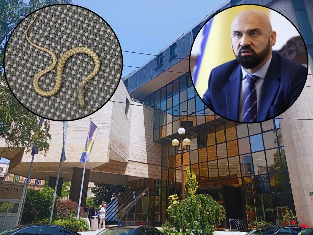 Polemika oko zmije: Je li ušla slučajno ili ju je neko unio?