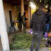 Policija na jugu BiH pronašla plantažu droge kanabis