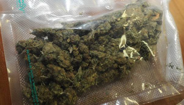 Policija pronašla marihuanu kod sina Mirka Šarovića