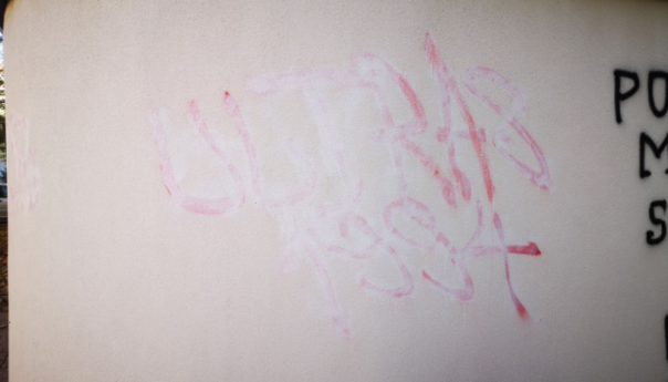 Policija sasjekla huliganski pohod "Ultrasa" u Mostaru