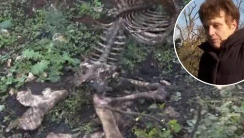 Policija traga za serijskim ubojicom ovaca, mještani užasnuti mučnim scenama