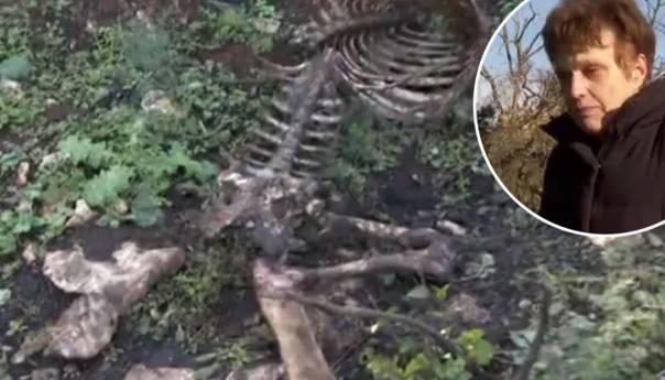 Policija traga za serijskim ubojicom ovaca, mještani užasnuti mučnim scenama