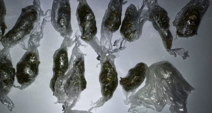 Policija u Živinicama zaplijenila paketiće droge