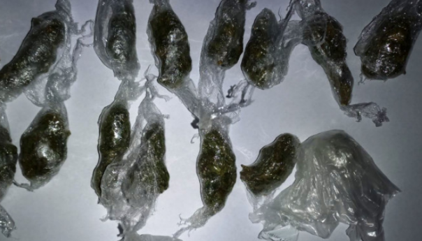 Policija u Živinicama zaplijenila paketiće droge