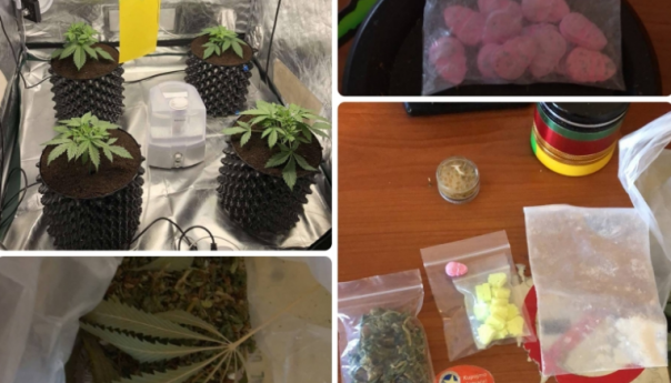Policija upala u stan u Švrakinom Selu, pronašli laboratorij za uzgoj "trave" i ecstasy