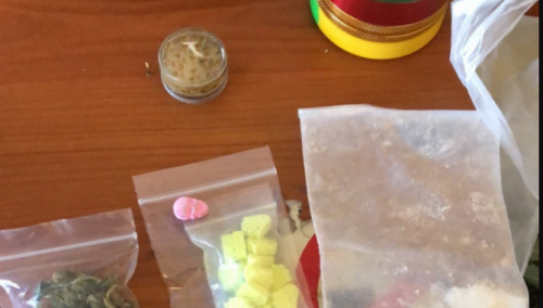 Policijska akcija u Švrakinom Selu: Pronađena kompletna laboratorija za uzgoj i proizvodnju opojne droge