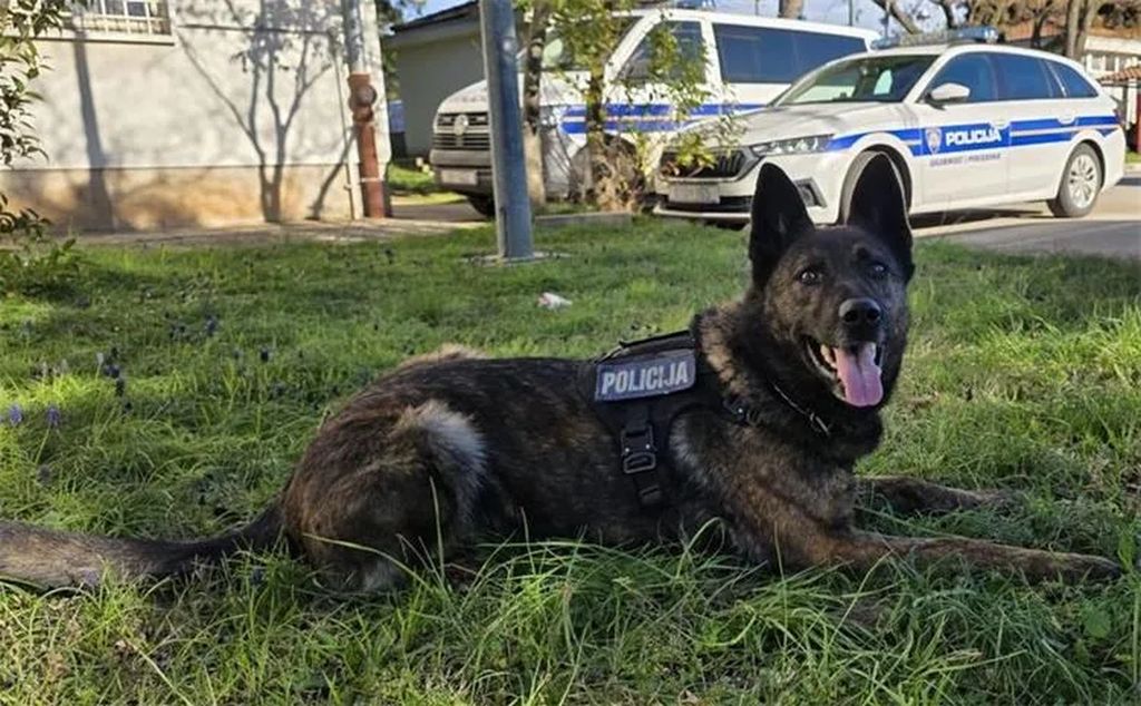 Policijski pas u Zadru otkrio pola kg kokaina kod državljanina BiH