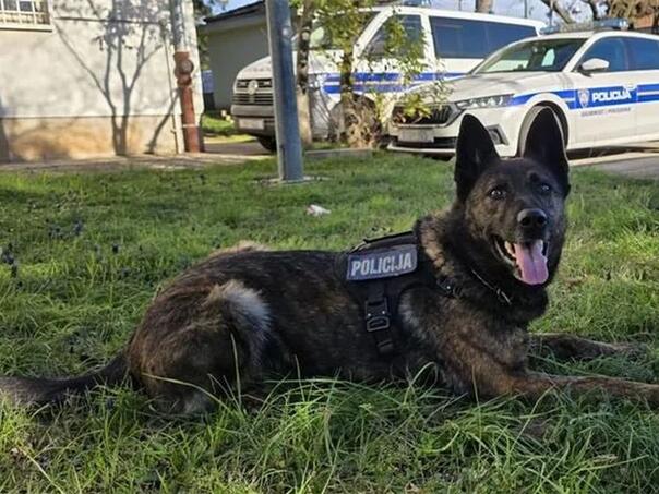 Policijski pas u Zadru otkrio pola kg kokaina kod državljanina BiH