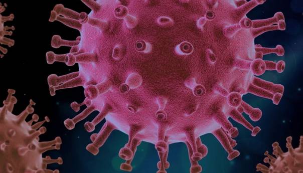 Politički skandal u Sloveniji: 'Bog stvorio virus koji će sačuvati bijelu rasu'