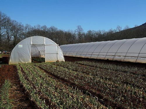 Poljoprivrednici traže hitan razgovor s Vladom FBiH: Nezakonita pravila ugrožavaju proizvodnju