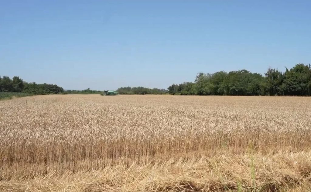 Poljoprivrednici u BiH traže pomoć, strahuju od teške zime