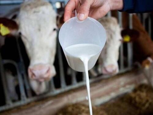 Poljoprivrednici u FBiH traže zabranu uvoza mlijeka