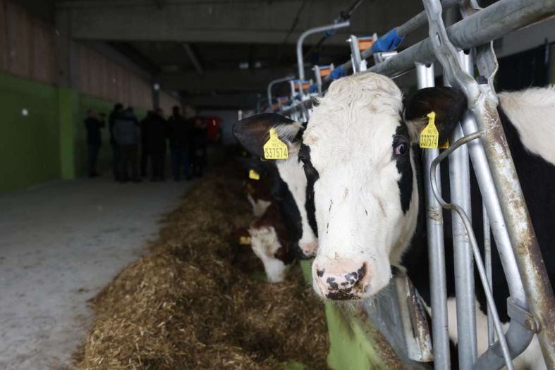 Poljoprivrednici u Srbiji bijesni zbog odluke ministra