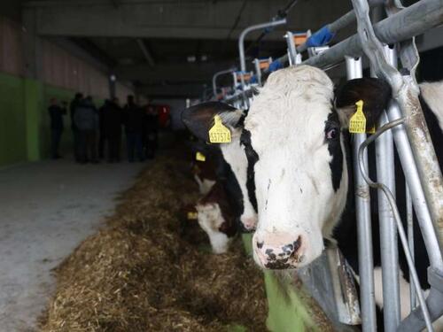 Poljoprivrednici u Srbiji bijesni zbog odluke ministra