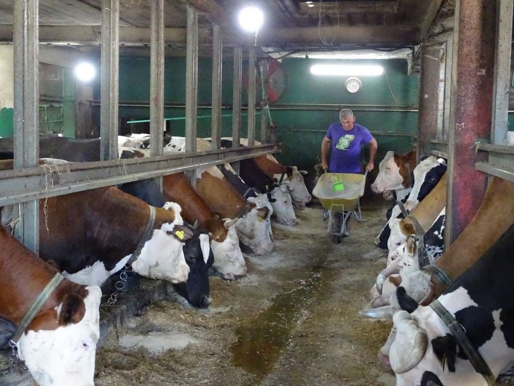 Poljoprivrednim proizvođačima i prerađivačima u FBiH isplaćeno 42,9 miliona KM