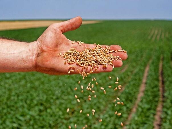 Poljoprivredno-prehrambeni sektor BiH u prvom polugodištu bilježi deficit oko dvije milijarde KM