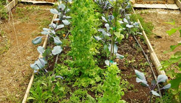 Poljoprivredu u BiH će u narednim decenijama karakterisati borba za vodu i borba s vodom