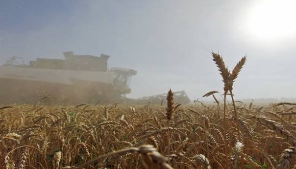 Poljska suspendirala uvoz ukrajinskih žitarica