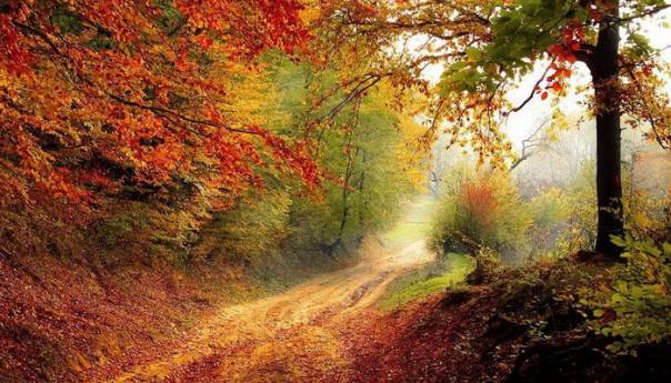 Polumjere neće spasiti prirodu, treba nam agresivniji pristup problemu