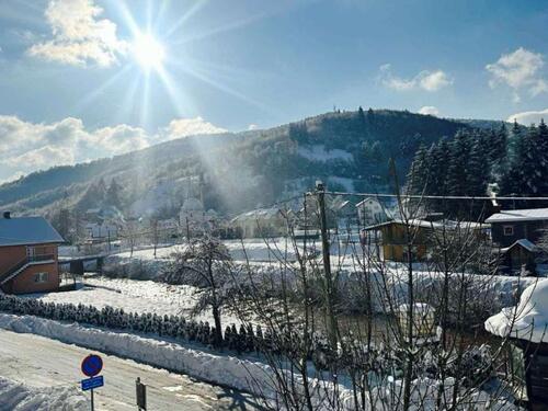 Poplave i snijeg uzrokovale probleme u Općini Pale u FBiH