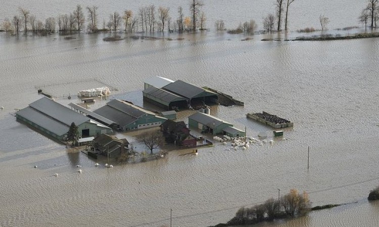 Poplave u Kanadi, oluja prekinula saobraćajne veze 