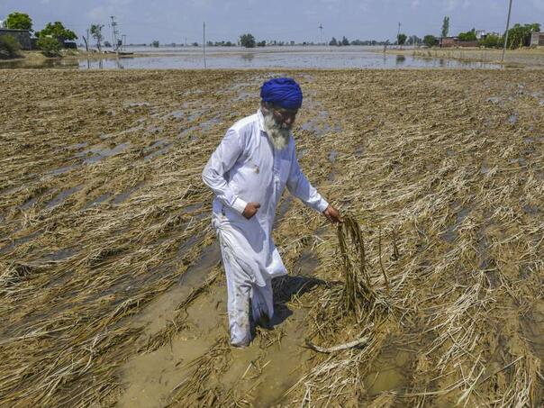 Poplave uništile indijsku žitnicu Pandžab