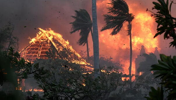 Porastao broj poginulih u šumskim požarima na Havajima
