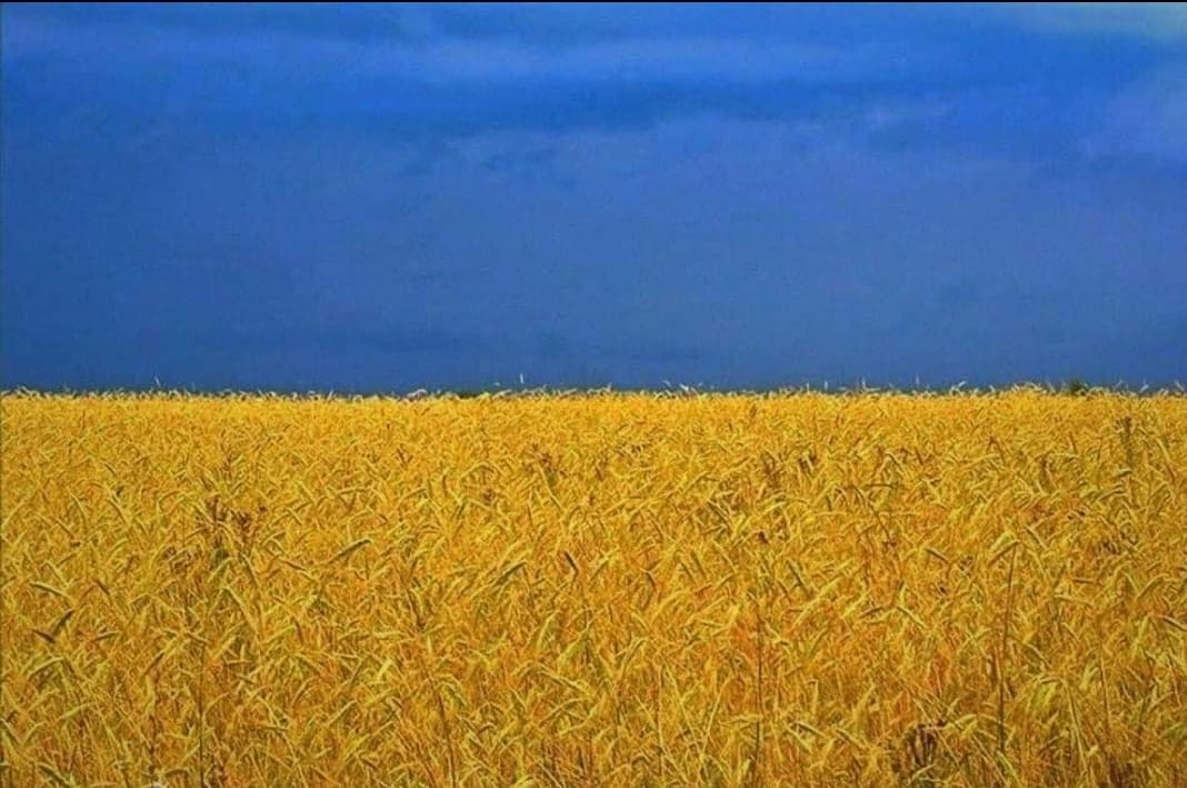 Poremećaj globalnih lanaca snabdijevanja hranom zbog krize u Ukrajini