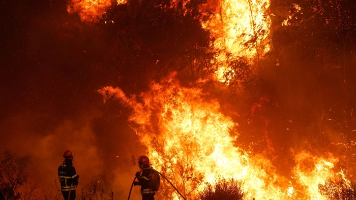 Portugal: Požari bjesne, evakuisano 1.400 osoba