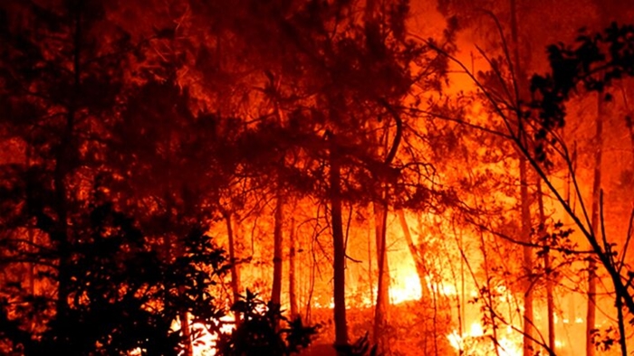 Portugal: Visoke temperature i vjetar otežavaju gašenje šumskih požara
