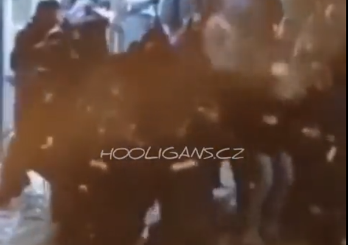 Portugalska policija pucala na navijače Zvezde, užasne povrede