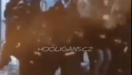 Portugalska policija pucala na navijače Zvezde, užasne povrede